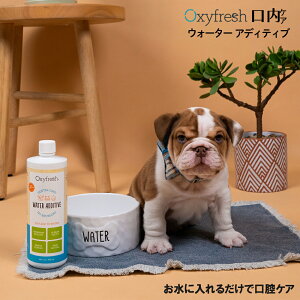ybgf^EH[^[AfBeBu 89mlE237mlE473mlE3.8? Oxyfresh ILVtbV  L L  ɍ邾