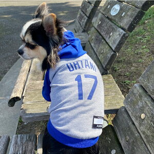 MLB T[X hW[X JĕI胂f jtH[ 싅 p[J[ Los Angeles Dodgers ybg