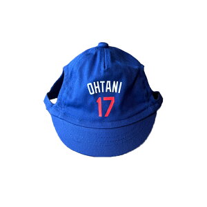 y2TCYzMLB T[X hW[X JĕI胂f x[X{[Lbv Xq 싅