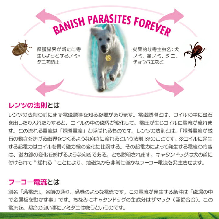 楽天市場 キャタンドッグ カタンドッグ 犬 猫 薬を使わないから安心 ノミ ダニ 予防 Catandog S ペット 安全 Fantasy World
