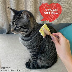 ローレンス　キャットスリッカーブラシ L