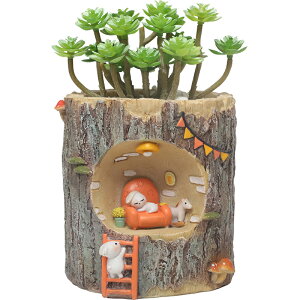 v^[ Aؔ 킢  ϗtA A  O CeA t[|bg ꌊ