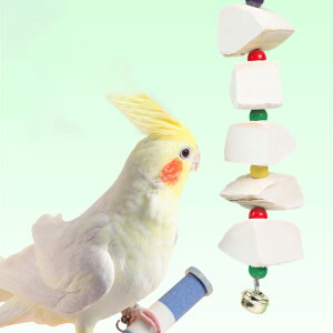 CR  CJ̍  IE ނ ݂艺 JVE̕⋋   ZLZCCR IJCR