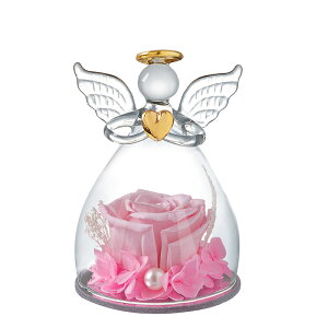 ̓̃v[g vU[uht[  ͂Ȃ oNX}X a LO KXVg yY  j EFfBO ΂  c v[g 蕨 