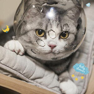 L  LFwbhMA֌ p Lp}Y ʋC L ܐ؂⏕p LpGUxXJ[ybgpi݂h~EH ݂Ƌjh~ f@ybgpi