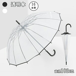 P P WvP rj[ 傫TCY 16{ JP xOXt@Co[̗p ~J΍ v ϕ  y jp XebLP   ʊw ʋ  