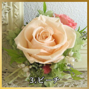 vU[uht[ RT[W Iׂ9F vU[uh uU[h uU[ht[  u[` Ǝ w    t[  }} }}X[c ܎O 