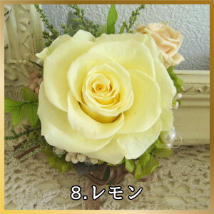 vU[uht[ RT[W Iׂ9F vU[uh uU[h uU[ht[  u[` Ǝ w    t[  }} }}X[c ܎O 