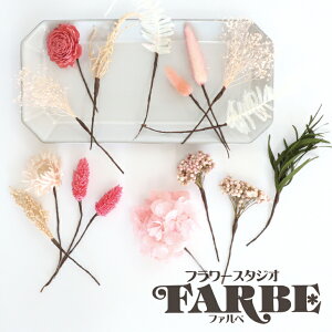 hCt[  wAs B wAANZT[ wANbv [J  z ݑ O[ l w  tH[} uU[ht[ uU[h