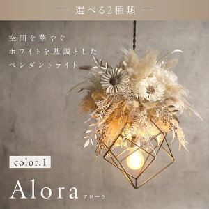 hCt[ y_gCg Ɩ Mtg v[g VfAƖ k CeA IV V[OCg ݂艺 {^jJ ؍ GKg a j j J