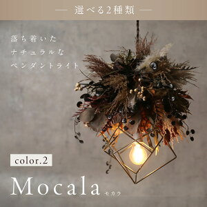 hCt[ y_gCg Ɩ Mtg v[g VfAƖ k CeA IV V[OCg ݂艺 {^jJ ؍ GKg a j j J