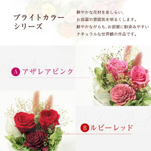 vU[uht[  Mtg v[g  uU[ht- ͂Ȃ t[Mtg IV uU[ht[ a 蕨 j LO җ N ËH  