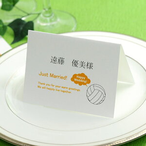 バレーボール カード 生活雑貨の人気商品 通販 価格比較 価格 Com