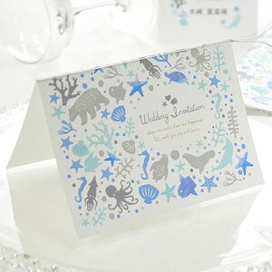 ҏ iij@ANAE@/ y[p[ACe