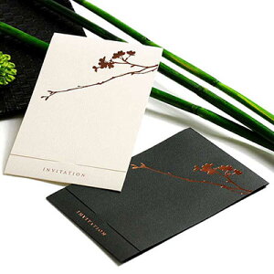 ҏ iij@їij@/ y[p[ACe