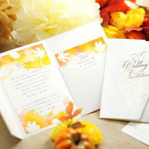 ҏ iij@beB[t@/ y[p[ACe