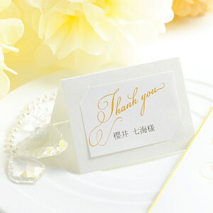 mLbgnȎDubeBGivi10j^^H^a^Ӊ^p[eB[^H^cp^