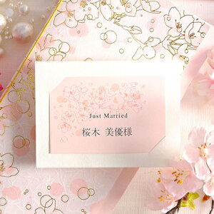 mLbgnȎDu~jvi10j^^H^a^Ӊ^p[eB[^H^cp^