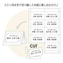 \フォトプロップスとしても使える/席札手作りセット(10名セット)「パーティー」結婚式