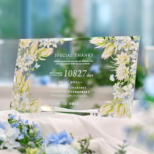 Ќŗeɑv[g qĊӏ KX̊ӏNAv[guu[X^[v@eւ̃v[g Ƒ l Ȃ Mtg  ei C LOM