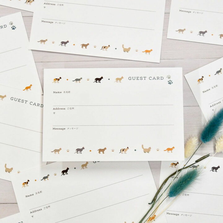 現品 結婚式 ゲストカード 芳名カード ドッグtoドッグ 枚入 受付 芳名帳 ゲストブック Shipsctc Org