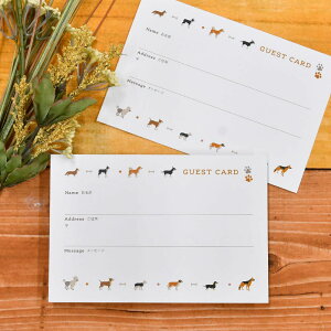 QXgJ[hEFJ[hi20juhbOtohbOv