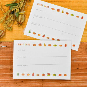 QXgJ[hEFJ[hi20juOURnEBv