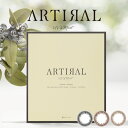 【2箱セット】(1箱30枚) ARTIRAL アーティラル ワンデー モイストUV カラコン [artiral-30p] [EN-S]