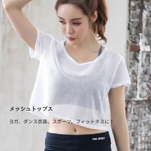 yzbV T Vc  K _X tBbglX EFA n N[ lbN fB[X gbvX