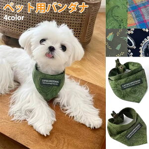   o_i p 悾ꂩ  XJ[t L  XJ[t ybg X^C  L  X^C    킢 ^ ^ ^ Ή o_i ^b` o_i 