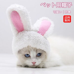  Xq  p Xq L ybgpi ybgObY hbOEFA ybgEFA ybg ~ H p ̕ ybg L ObY  ObY ybgp p Lp 킢  ^