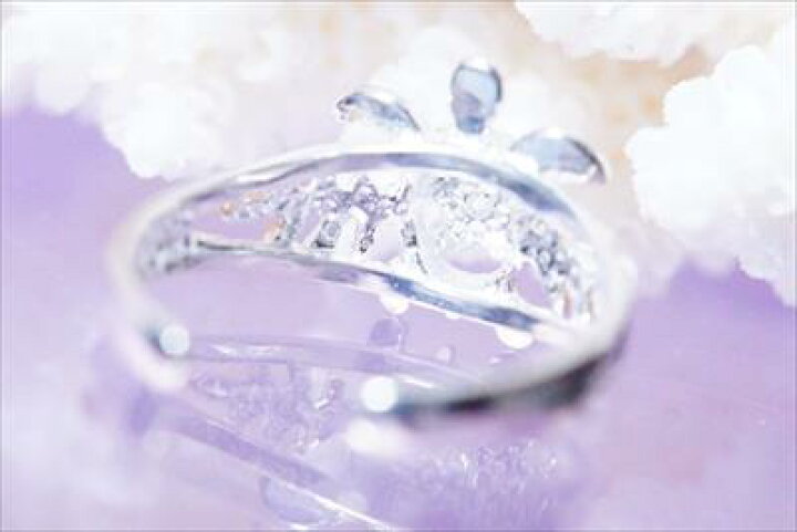 ホヌ 海がめ プルメリア 花 クリアキュービックジルコニア装飾 ラウアエ シダの葉 透かし柄2フレームデザイン レディース ハワイアンジュエリー シルバー925 フリーサイズ トゥーリング ピンキーリング 衝撃特価