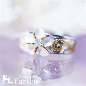 փvA() NAL[rbNWRjA XN[(g) CG[S[hyAJ[ fB[X nCAWG[ Vo[925 t[TCY gD[O s