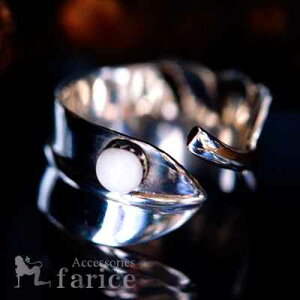 tFU[(H)EhfUC nECg|Cg 򋾖ʎdグ CfBAWG[ Vo[925 Y O