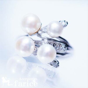 4̃p[ƃzCgL[rbNWRjÃGKgt[C[WWG[Oy17z