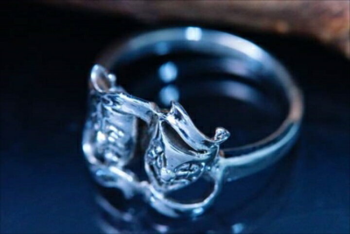 楽天市場】シルバーアクセサリー トゥーフェイス ツーフェイス 