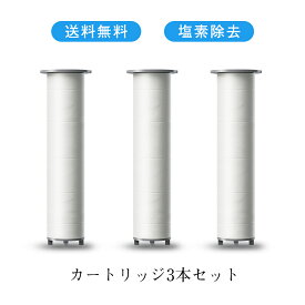 交換用カートリッジ シャワーヘッド用 塩素除去 水質改善 浄水フィルター カートリッジ 3本セット(6ヵ月分) ナノロバブル 全国送料無料 S-HS-HS-06-WH専用