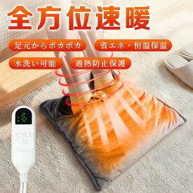 ＼期間限定★今だけ4,380円／電気足温器 足元ヒーター 速暖 両面加熱　省エネ 電気座布団 極め肌ざわり素材 抗菌 防臭 軽量 電源コード式 手両足用 男女兼用 防寒対策　42cm*42cm PSE認証 日本語取扱説明書付き 冬のプレゼント