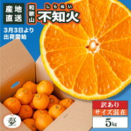 ＼訳あり／ 和歌山 有田産 不知火 5kg サイズおまかせ（ 混在 ）【送料無料（一部地域を除く）】 しらぬ…