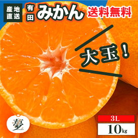 【送料無料】レビューでプレゼント ファームむさし 有田みかん 温州みかん 大玉3L・10kg 家庭用 和歌山県産