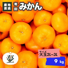 ファームむさし 有田みかん 温州みかん 早生 わせ 大玉LL・3L混在 選べる 容量 2kg 4kg 9kg 家庭用 和歌山県産