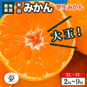 t@[ނ Lc݂ B݂  킹 LLE3L Iׂ e 2kg 4kg 9kg ƒp a̎RY