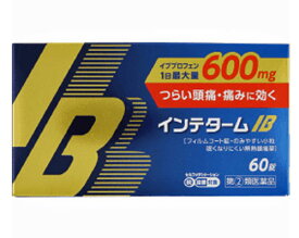 【第(2)類医薬品】インテタームIB　60錠