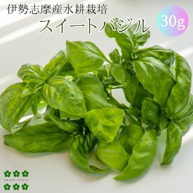 楽天市場 生 バジル 食品 の通販