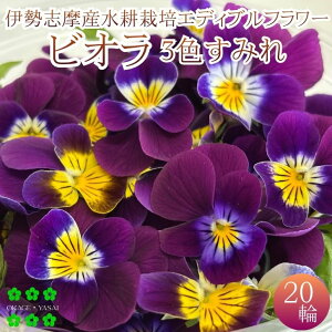 GfBut[ rIi3F݂j20 X~ Hp Hׂ k͔| _ƒ Yn ɐuY n[u  L@qgp ͔|Ԓw_sgp fR[V 