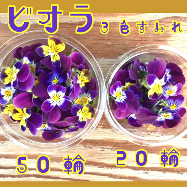 楽天市場 エディブルフラワー ビオラ ３色すみれ 輪 スミレ 食用花 食べられる花 水耕栽培 農家直送 産地直送 伊勢志摩産 ハーブ 生花 有機種子使用 栽培期間中化学農薬不使用 デコレーション 飾りつけ 伊勢志摩おかげ野菜と仲間達