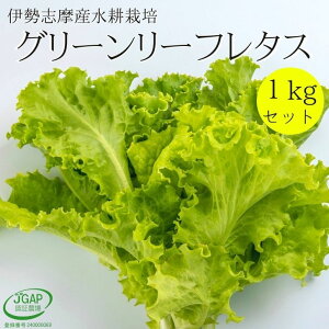 ՂO[[t^X 1kg 3~bNX k͔| ɐuY Ɩp T_  ^X [t^X Zbg Yn _ƒ  ₳ ؃Zbg ͔|Ԓw