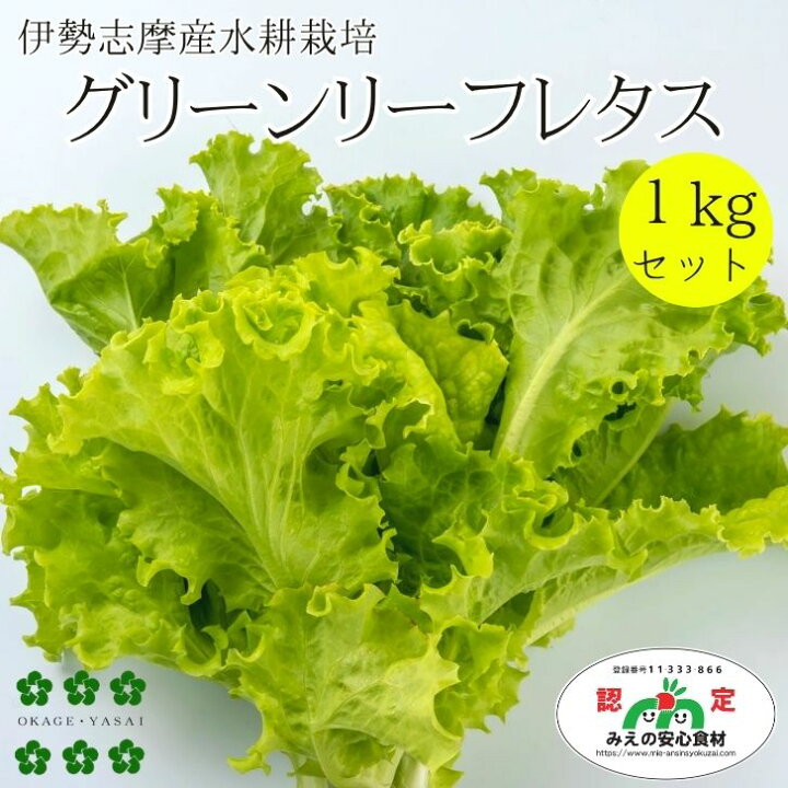 楽天市場】たっぷりグリーンリーフレタス 1kg 3種ミックス可 水耕栽培 