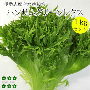 nTO[^XZbg Ղ 1kg k͔| ɐuY T_ [t^X  ₳ ؃Zbg lߍ킹 _ƒ Yn Ɩp  ͔|Ԓw_sgp 