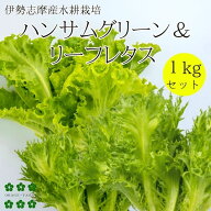 ハンサムグリーンレタス＆グリーンリーフレタス 1kg セット 水耕栽培 伊勢志摩産 業務用 サラダ 生野菜 …